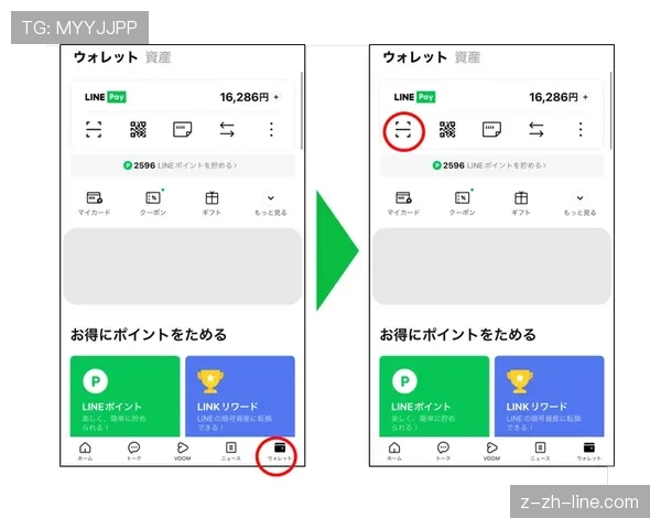 LINE Pay密码丢失怎么办全面指南
